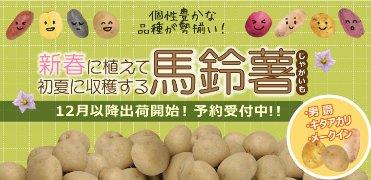 馬鈴薯 | 農業屋.com