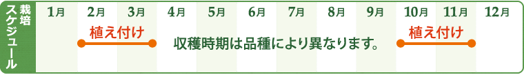 ブルーベリーの栽培スケジュール