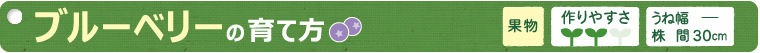 ブルーベリーの育て方
