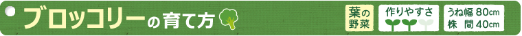 ブロッコリーの育て方