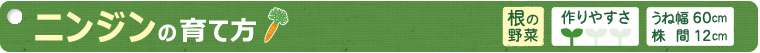 ニンジンの育て方