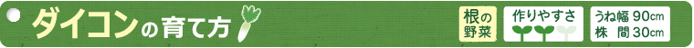 ダイコンの育て方