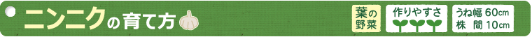ニンニクの育て方