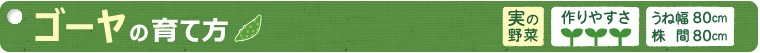ゴーヤの育て方