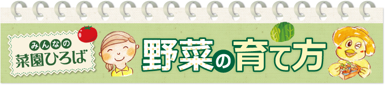 みんなの菜園ひろば