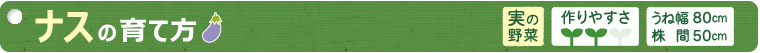 ナスの育て方