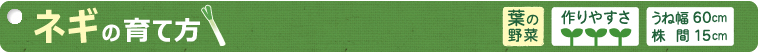 ネギの育て方