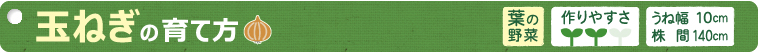 玉ねぎの育て方