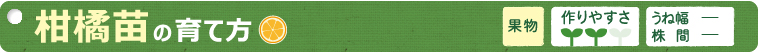 柑橘苗の育て方