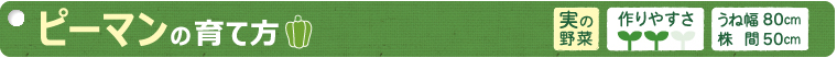 ピーマンの育て方