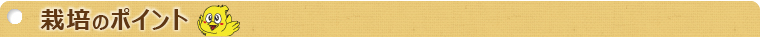栽培のポイント