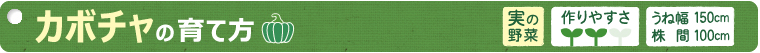 カボチャの育て方