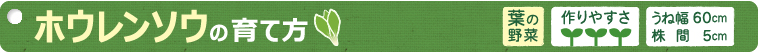 ホウレンソウの育て方