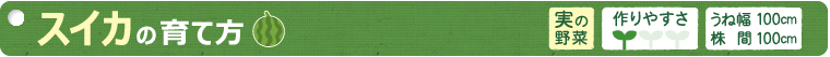 スイカの育て方