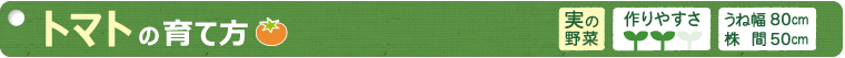 トマトの育て方