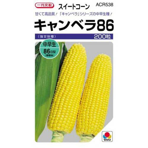 とうもろこし 種 【キャンベラ86】 200粒 | 農業屋.com