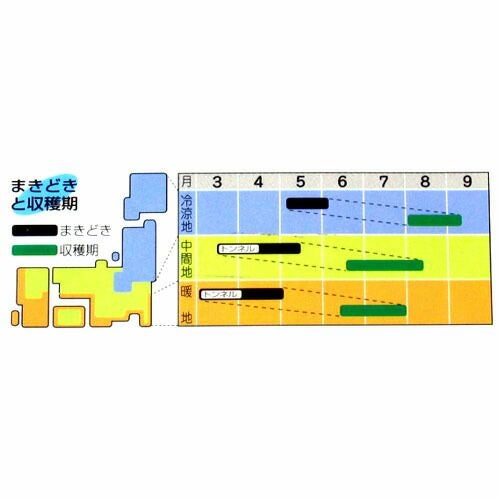 とろ@ プロフ読(願)キャンペーン中　専用 とろ@ プロフ読(願)キャンペーン中様 リクエスト 5点 まとめ商品