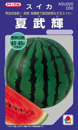 スイカ 種 【 夏武輝 】 小袋(DF 9粒) ( スイカの種 ) | 農業屋.com