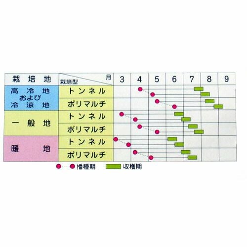 とうもろこし 種 【ゴールドラッシュ】 200粒 | 農業屋.com