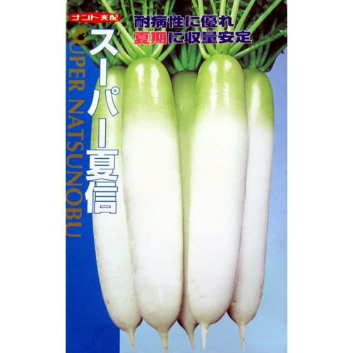 Ocn 果菜 4株 000000000182-01.jpg?size=l&w=
