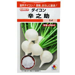 大根 種 【 辛之助 】 小袋(RF) ( 大根の種 ) | 農業屋.com
