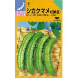 スナップえんどう 種 【 スジナインスナップ 】 200粒 ( スナップえん