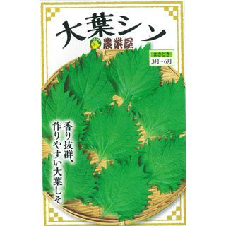 しそ 種 【 大葉シソ 】 小袋 (8ml) ( しその種 ) | 農業屋.com