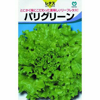 送料無料】【 令和6年産 】【 新米 】 愛知県産 あいちのかおり 玄米 2