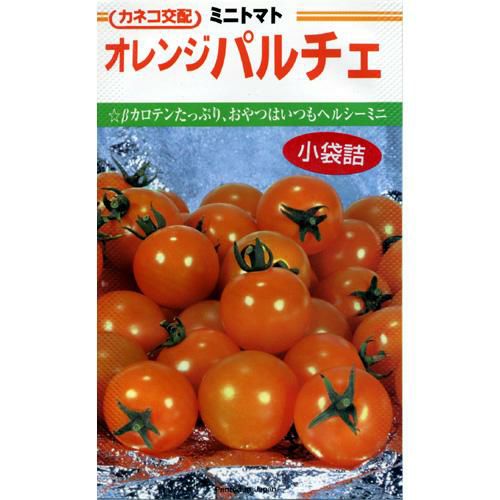 ミニトマト 種 【 オレンジパルチェ 】 小袋（12粒） ( ミニトマトの種