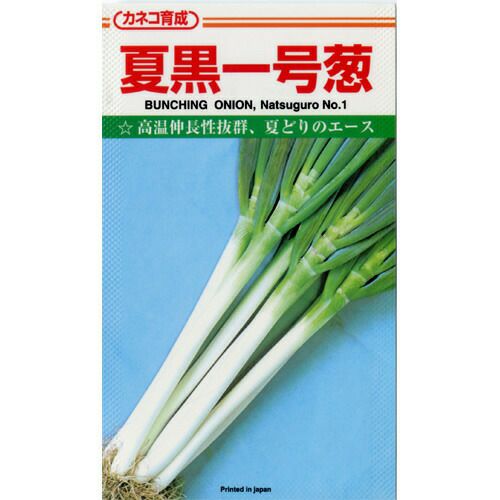 ネギ 種 【 夏黒一号 】 種子 小袋（約20ml） | 農業屋.com