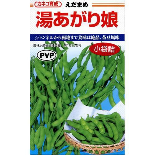 果樹苗 【 桃 ひめこなつ 1年生苗木 】 品種 ひめこなつ 品種登録番号