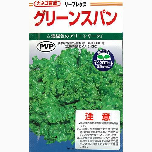 レタス 種 【 レタスグリーンスパン 】 種子 コート5千粒 | 農業屋.com