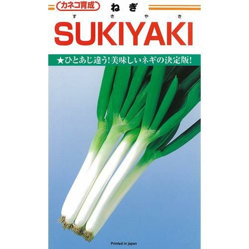 ネギ　種子　コート種子 ネギ 種 【 ネギSUKIYAKI 】 種子 コート5千粒 | 農業屋.com