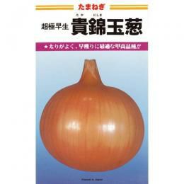 たまねぎ 種 【極早生貴錦 (たかにしき)】 20ml | 農業屋.com