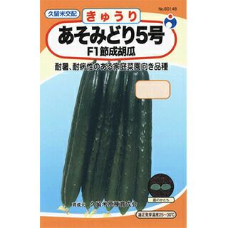 きゅうり 種 【あそみどり5号】 350粒 | 農業屋.com