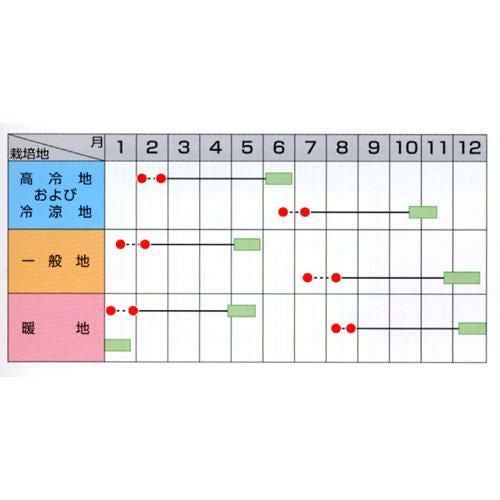 ブロッコリー 種 【 グランドーム 】 種子 ペレット5000粒 | 農業屋.com