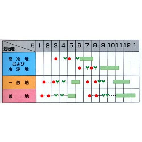 ブロッコリー 種 【 緑嶺 】 種子 20ml | 農業屋.com