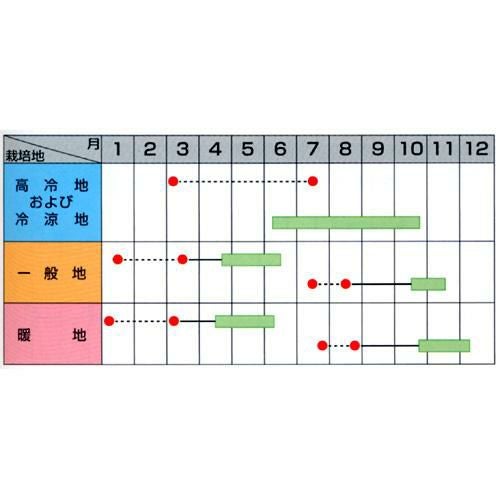 ブロッコリー 種 【 ピクセル 】 種子 2000粒 | 農業屋.com