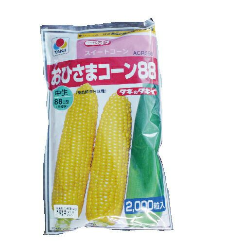 とうもろこし 種 【おひさまコーン88】 2,000粒 | 農業屋.com