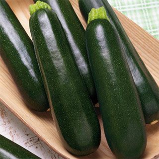 ズッキーニ 種 【 ダイナー 】 100粒