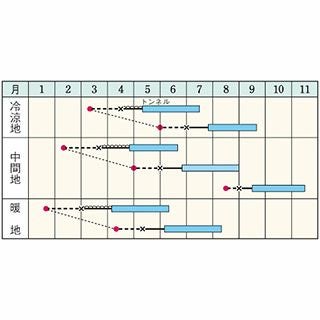 ズッキーニ 種 【 ダイナー 】 100粒