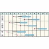 ズッキーニ 種 【 ダイナーEX 】 種子 500粒