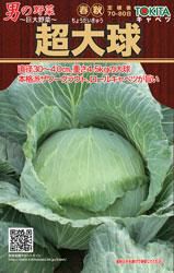 キャベツ 種 【 トキタの男の野菜シリーズ 超大球 】 種子 小袋 | 農業