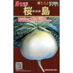 大根 種 【 トキタの男の野菜シリーズ桜島 】 種子 小袋（約8ml