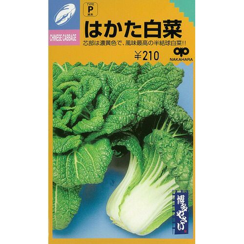 白菜 種 【 はかた白菜 】 種子 2dl | 農業屋.com
