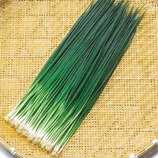 ネギ 種 【 冬彦 】 種子 2dl | 農業屋.com