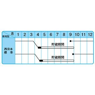 たまねぎ 種 【早生こがね】 100ｇ