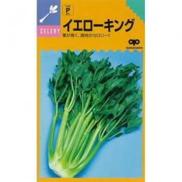 さつまいも苗 【 バイオ べにはるか 】 20本 【予約販売 芋づる
