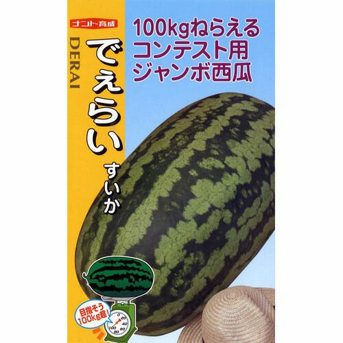 スイカ 種 【でぇらいすいか】 10粒 | 農業屋.com