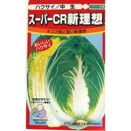 白菜 種 【 スーパーCR新理想 】 種子 小袋（約100粒） | 農業屋.com